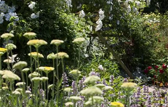 Lauschige Ecken im Garten