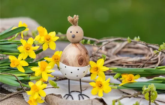 Die bunte Blütenpracht der frühblühenden Pflanzen zu Ostern 